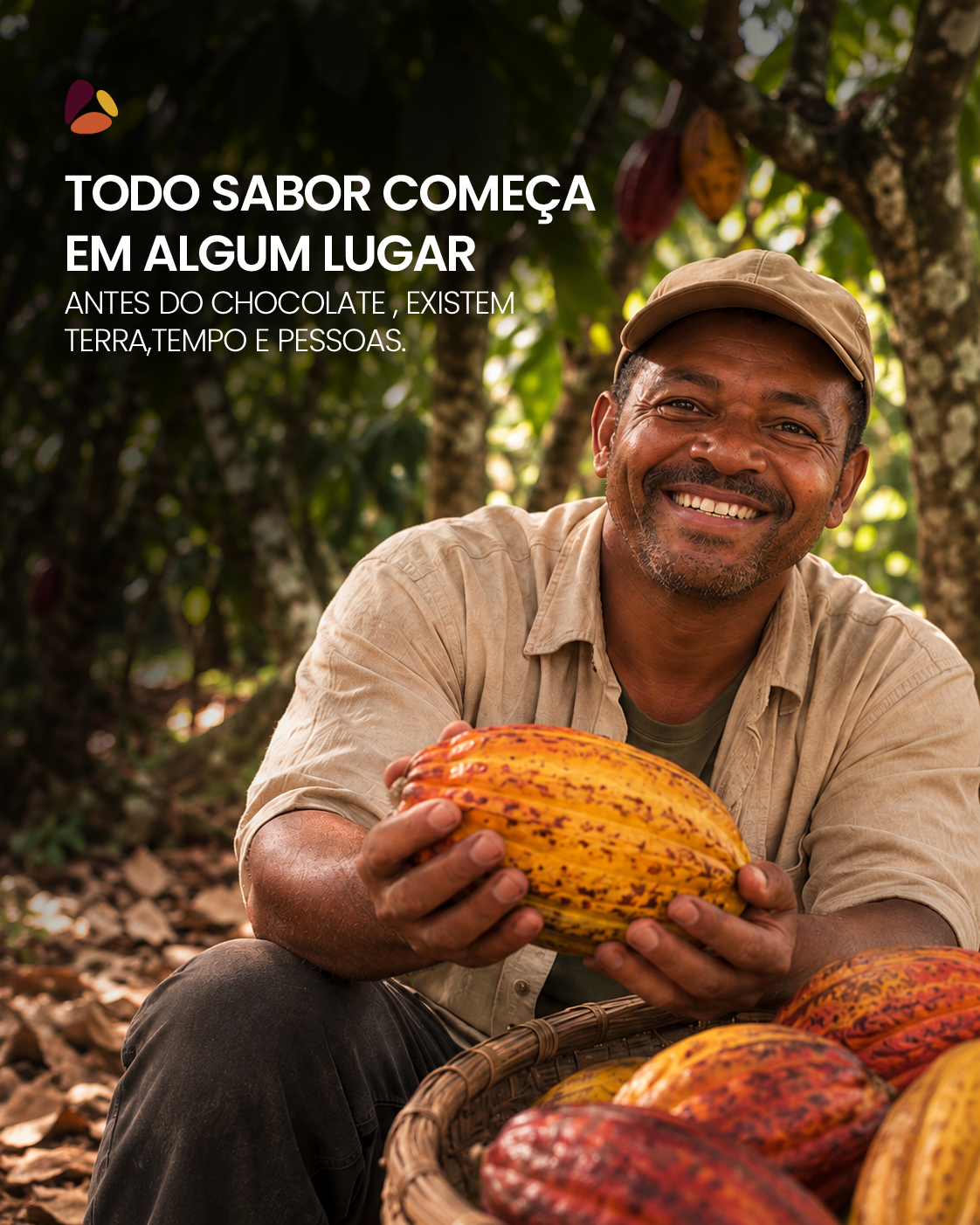 Cacau Cabruca Sul da Bahia